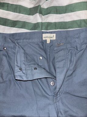 Ecologyst canvas work pant